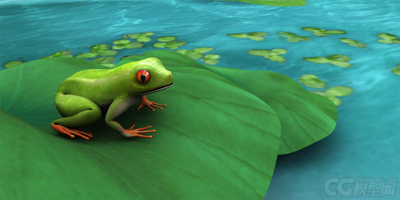 写实青蛙吃蝴蝶,树蛙,绿皮青蛙,荷塘