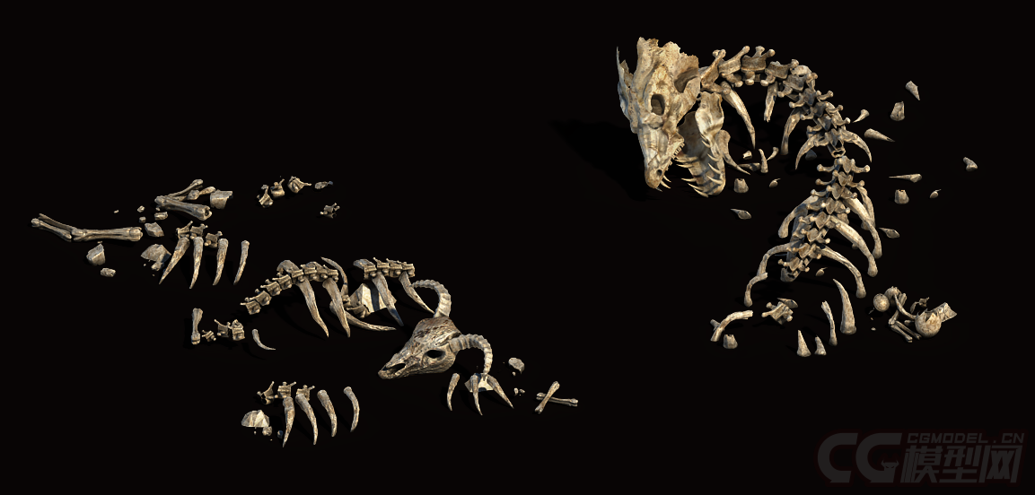 龙骨头怪兽骨头骨头残骸