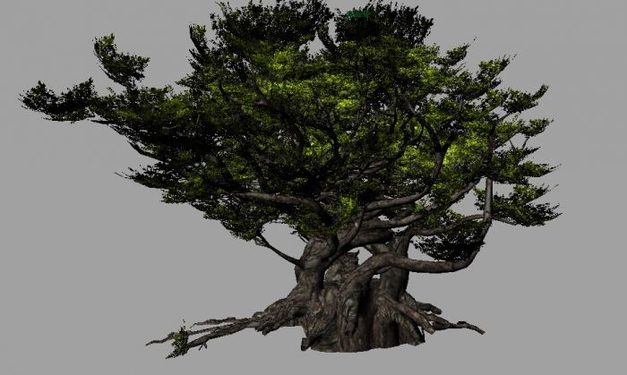 两颗形状不错的古树,大树,老树_alai628作品_石头植物树木_cg模型网