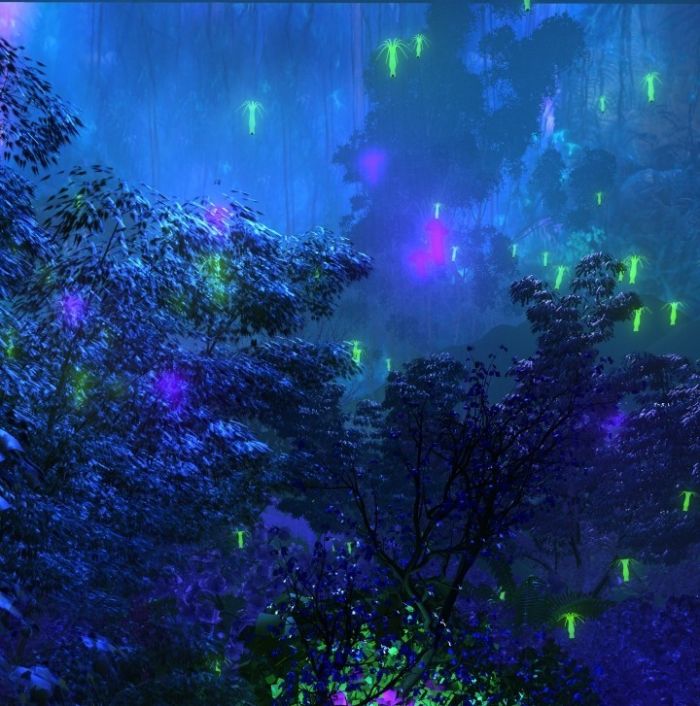 秘境森林,神秘,有粒子和摄像机动画-ma_alai628作品_场景自然场景_cg