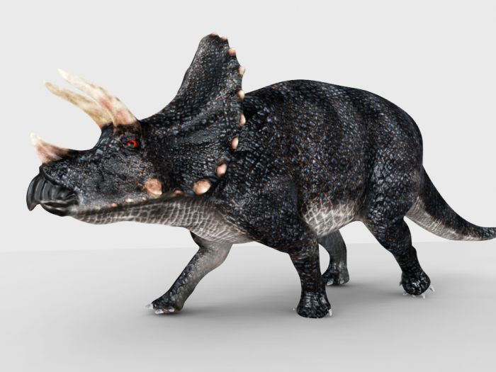 超写实恐龙之9——三角龙,带材质贴图绑定和各种动画,max-maya-fbx