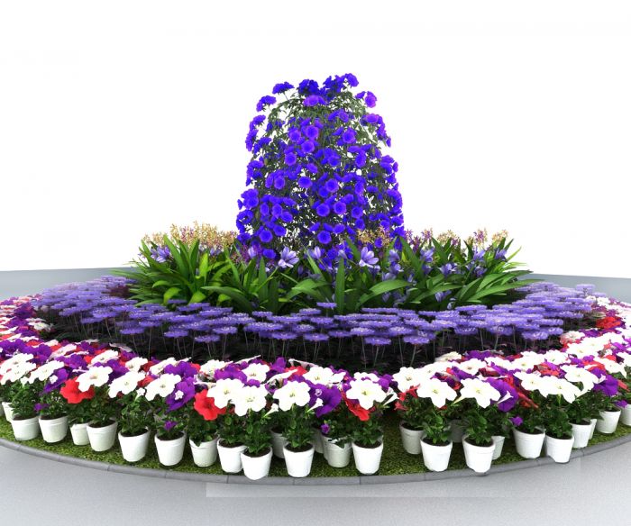 植物花草圆形花坛