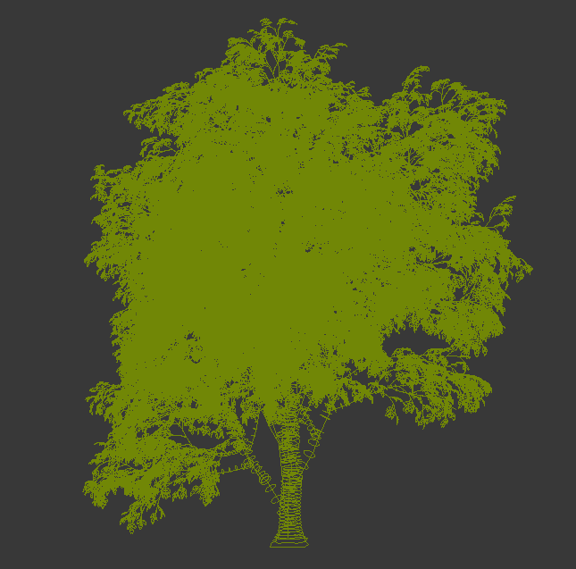 一棵树叶会动的树风吹动的效果