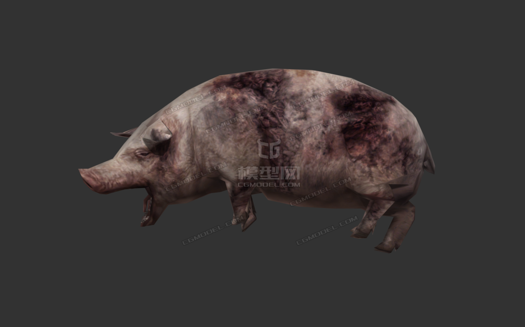 瘟疫烂肉动物尸体,腐烂的死尸,屠杀家畜,烂肉,生蛆的变质的腐肉,腐尸