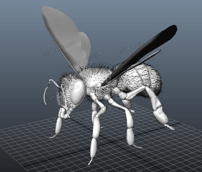 影视级蜜蜂昆虫模型,模型细节丰富 面数少,精度高,电影级别,法线置换