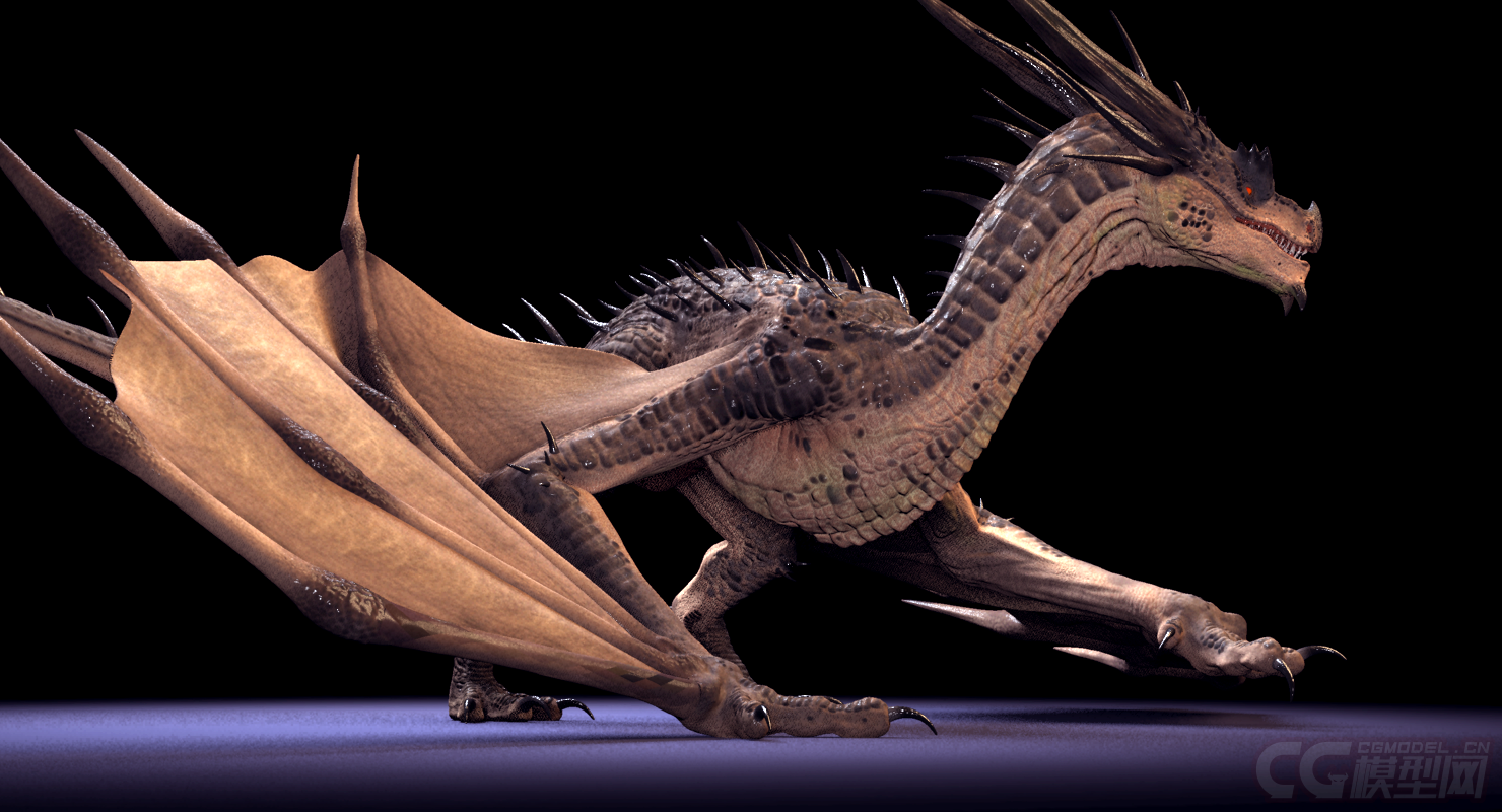 是等龙 西方龙 写实类 dragon 影视级绑定,材质已调节可直接用