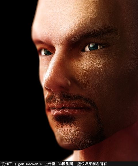 男性 人体 人体参考 肌肉 人头