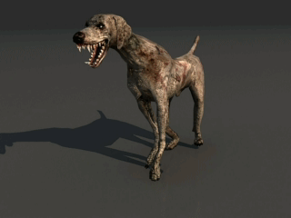 流浪狗恶犬丧尸僵尸猎狗模型下载  带动作贴图 骨骼 可用于游戏项目