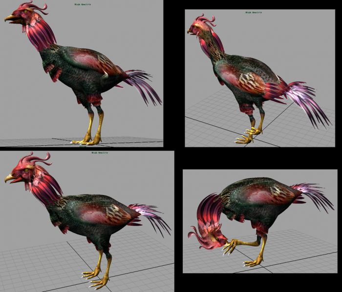 公鸡(斗鸡)_crab123作品_动物哺乳_cg模型网