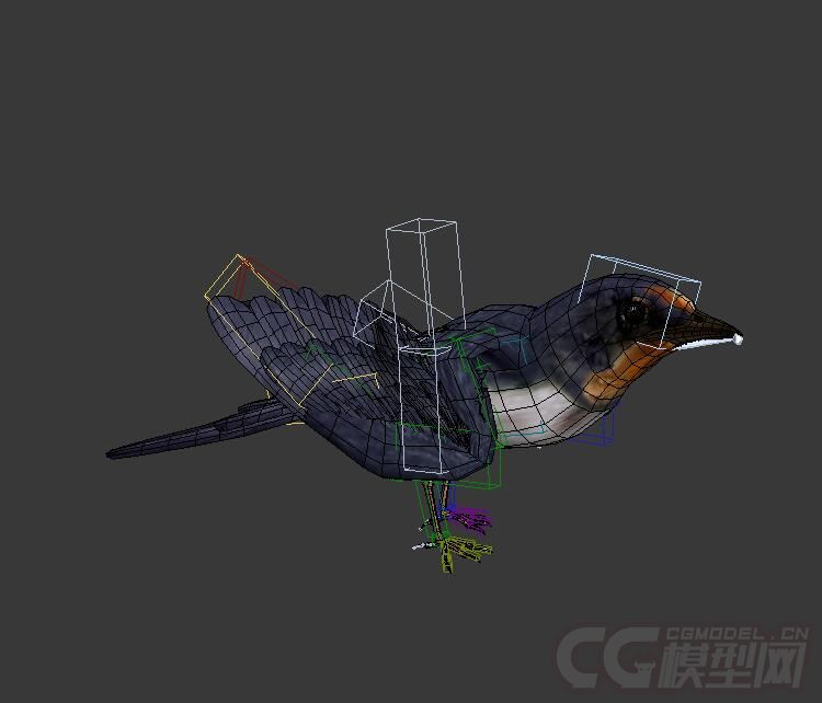 寫實動物帶綁定 燕子模型帶骨骼動畫 3dsmax 200幀動作(原創)