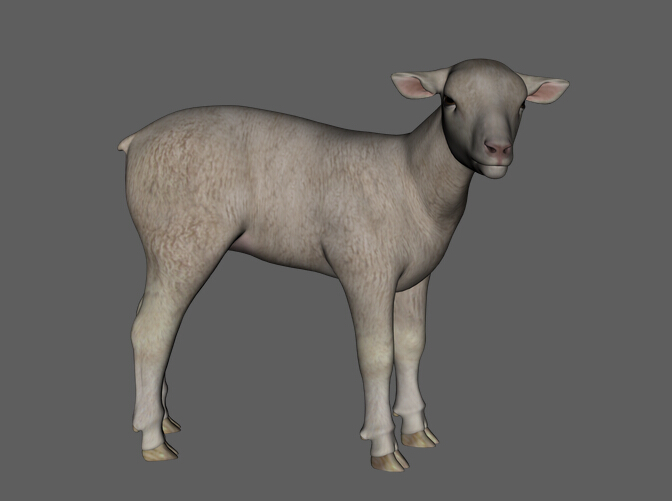 羊和羊羔3d模型
