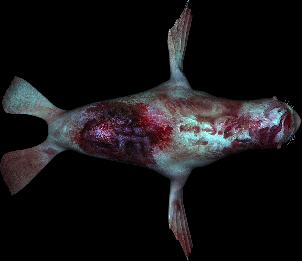 生化海豹_chongchong123作品_动物哺乳_cg模型网