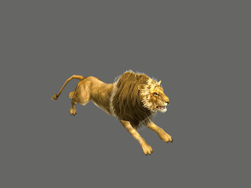 写实狮子带动作_liuyuemaizhi作品_动物哺乳_cg模型网