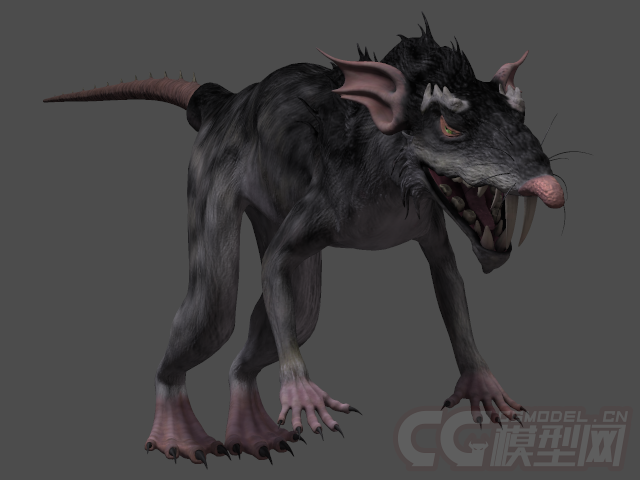 带绑定的老鼠大鼠,邪恶的老鼠,小鼠monsterrat,mo模型-哺乳模型库