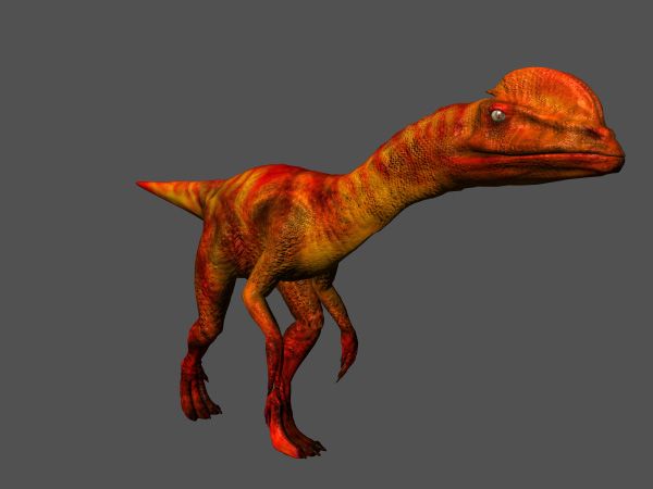 影视级恐龙, 带动画贴图的冠龙, 盔头龙, 冠龙