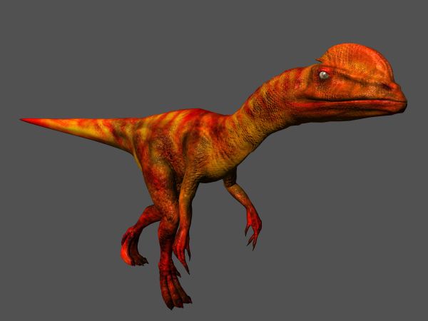 影视级恐龙, 带动画贴图的冠龙, 盔头龙, 冠龙