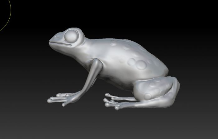 青蛙zbrush模型_60380127作品_动物哺乳_cg模型网