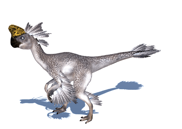 写实恐龙——窃蛋龙 偷蛋龙 带绑定 有贴图 有动画 恐龙动画 恐龙骨骼