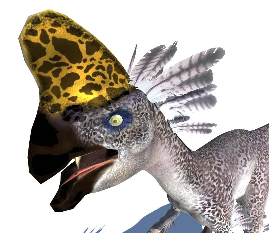 写实恐龙——窃蛋龙 偷蛋龙 带绑定 有贴图 有动画 恐龙动画 恐龙骨骼