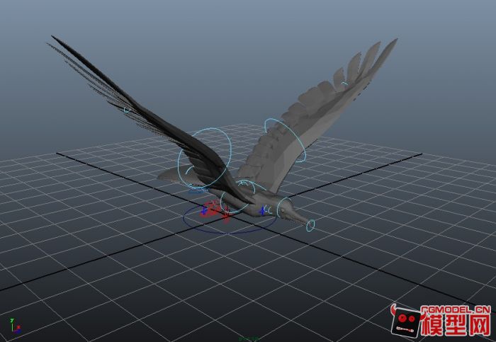 maya鸟模型下载有骨骼绑定+循环动画模型-飞禽模型库-3ds Max(.max)模型下载-cg模型网