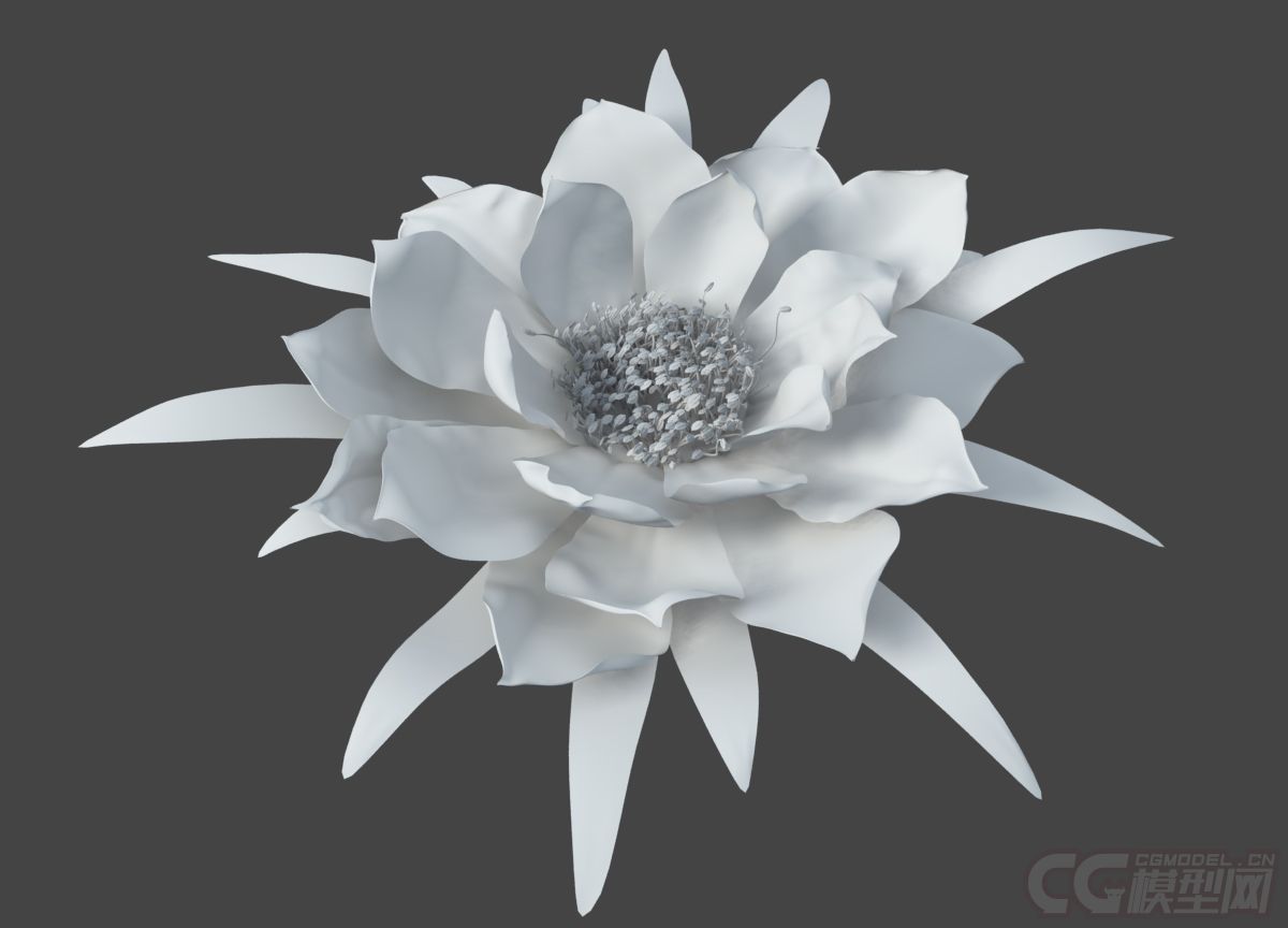 写实植物模型分类:花草软件版本:11年版本昙花 昙花一现 无绑定无动画
