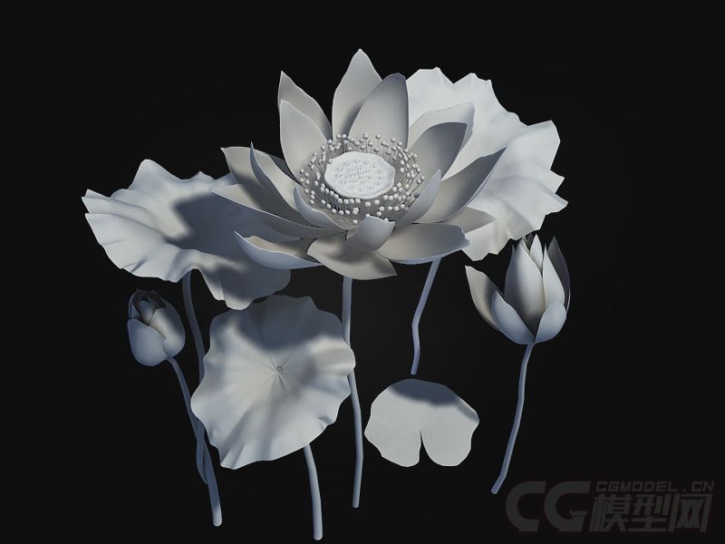 荷花 花朵 植物_kayinawang作品_石头植物树木_cg模型网