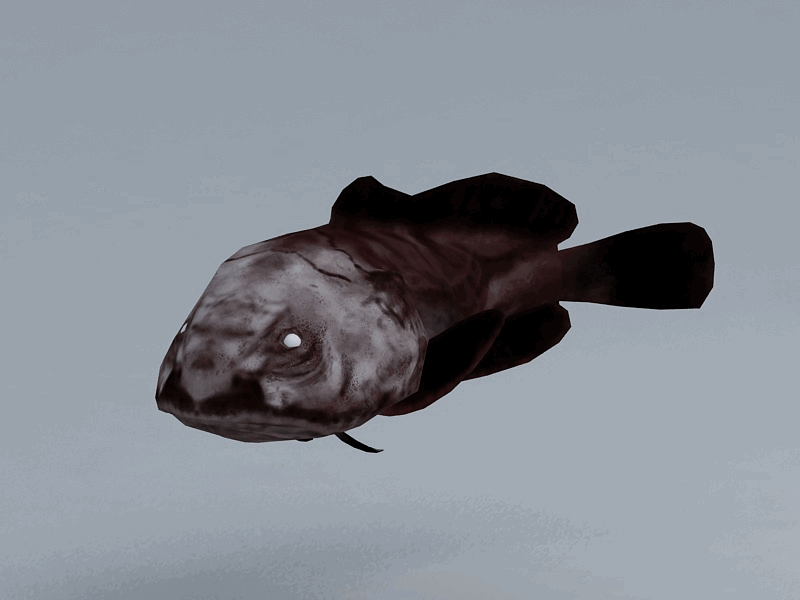 海底世界_水滴鱼_leojinwing作品_动物哺乳_cg模型网