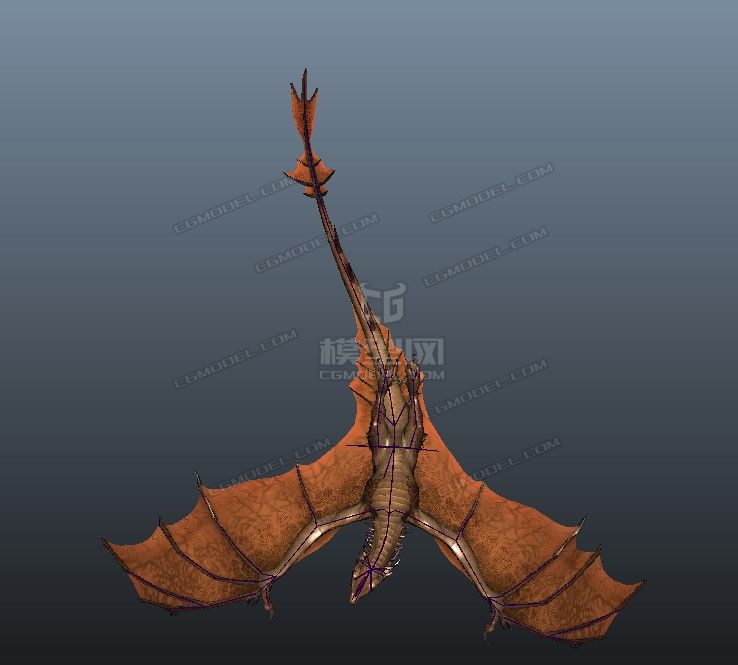 帅气双足龙,飞龙,翼龙带63套动作,带法线