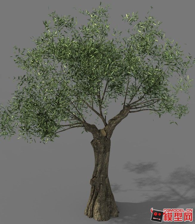 风景树超强写实高模大合集下载_youmenger作品_石头植物树木_cg模型网