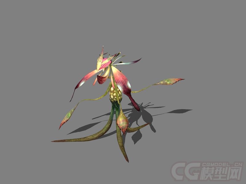 3d植物妖怪模型带绑定和动作