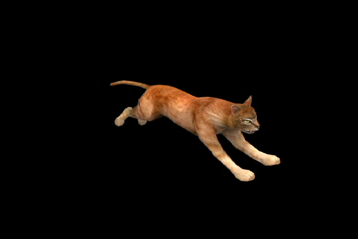 3d小猫带动作和预览图