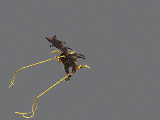 3d双鞭怪兽带绑定和动作_tomhegon作品_动物哺乳_cg模型网