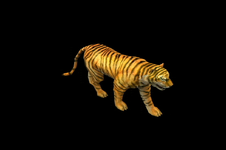 3d老虎带动作和预览图