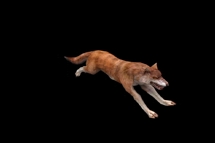 3d(狼)带动作和预览图