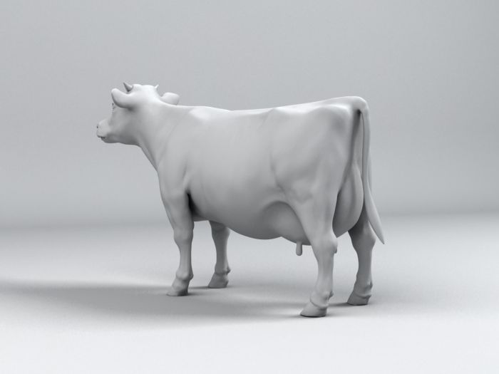 自己做的写实牛模型,包括zbrush高模和max低模加法线贴图