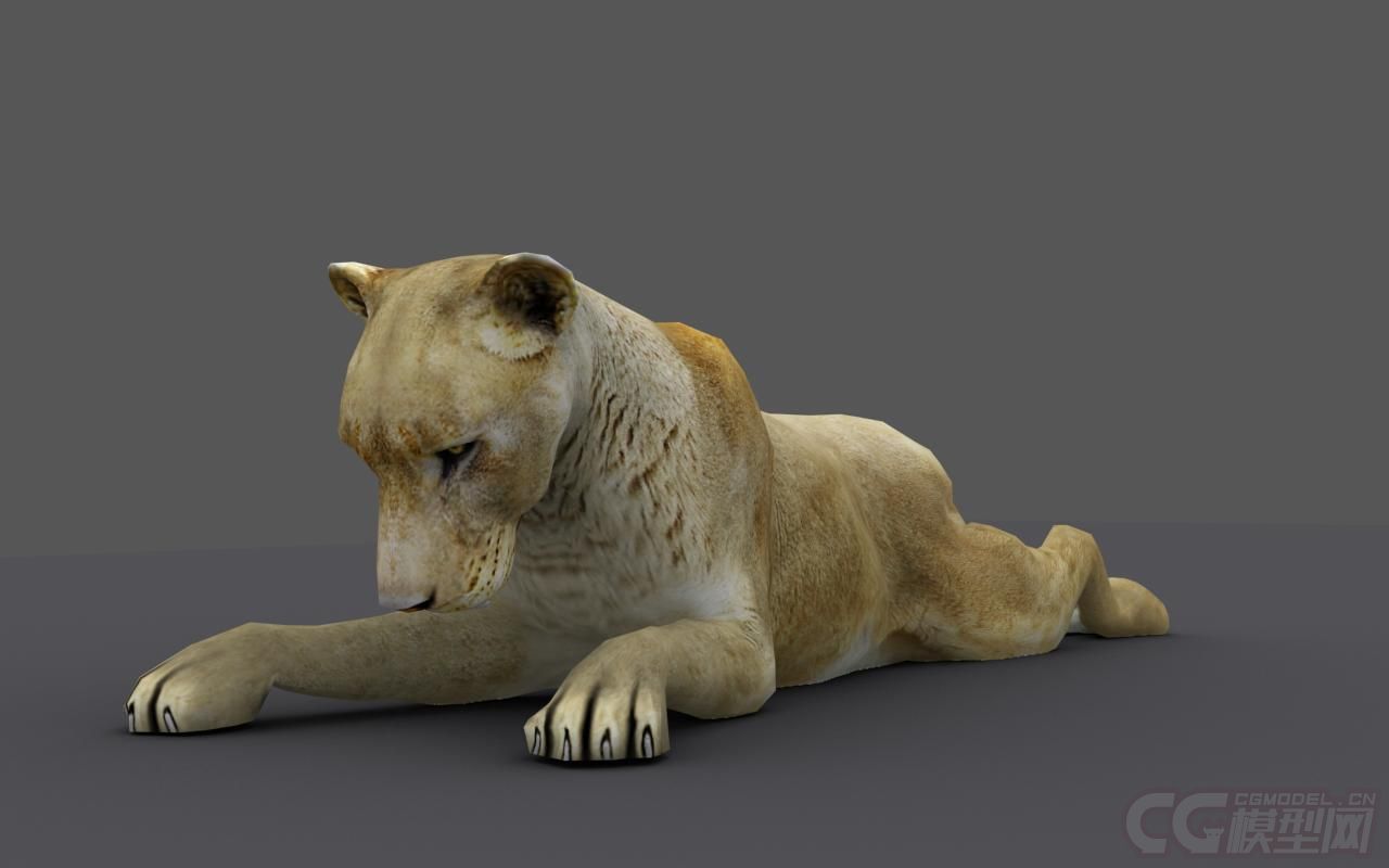 非洲草原动物系列15_影视级超写实哺乳动_caoxie作品_动物哺乳_cg模型