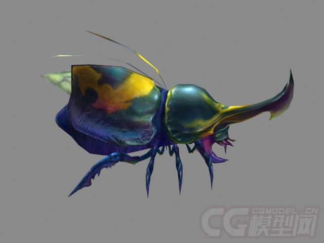 甲虫
