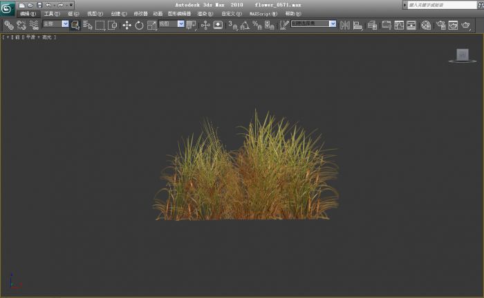 花草合集三 写实模型模型-草类模型库-3ds Max(.max)模型下载-cg模型网
