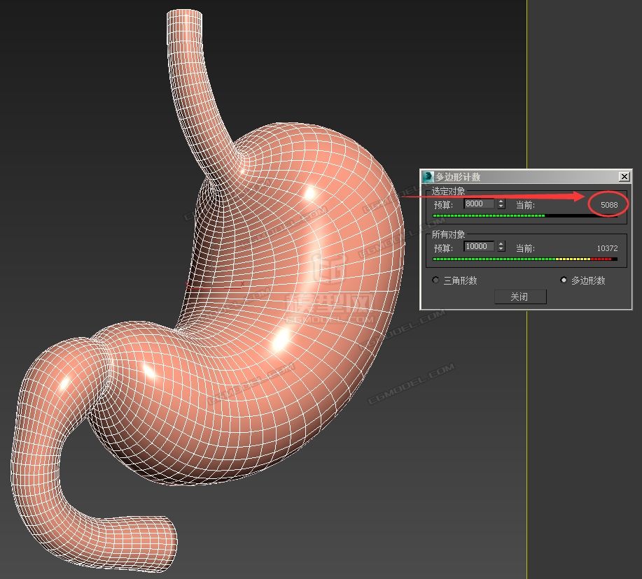 超写实精确医学级胃解剖模型 高低模 全模合并 解剖