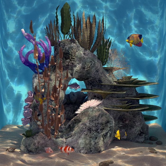 系列之1——海底石头(第一组_生物世界作品_场景自然场景_cg模型网