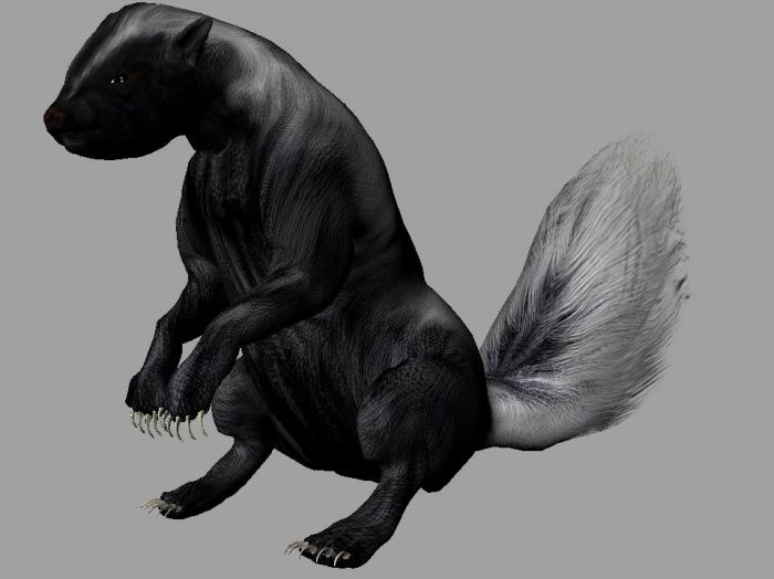 影视级别动物之39——臭鼬;狗獾,skunk,黑鼬,带绑定