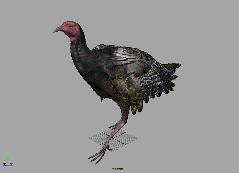 电影动物之42——土耳其火鸡模型,火鸡,带骨骼绑定和各种动画,山鸡4k