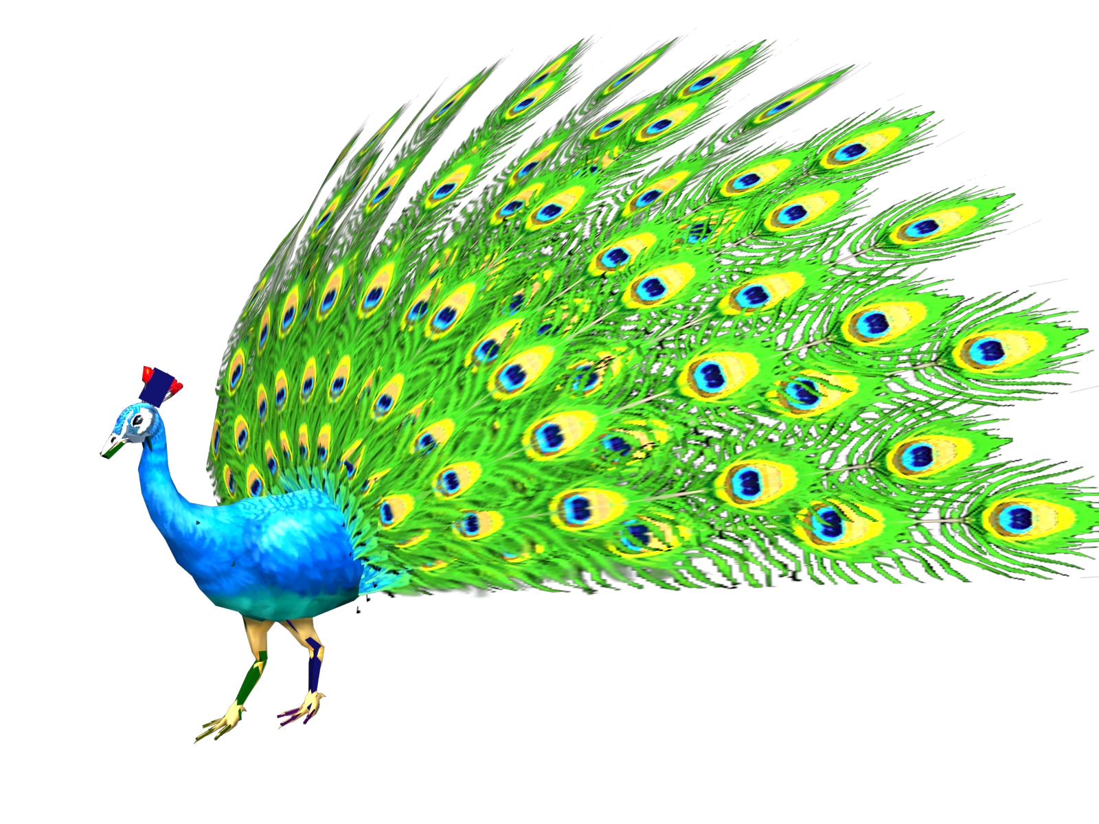 带动画,动作的3dmax动物模型,孔雀开屏,行走,peafowl开屏,带动作含