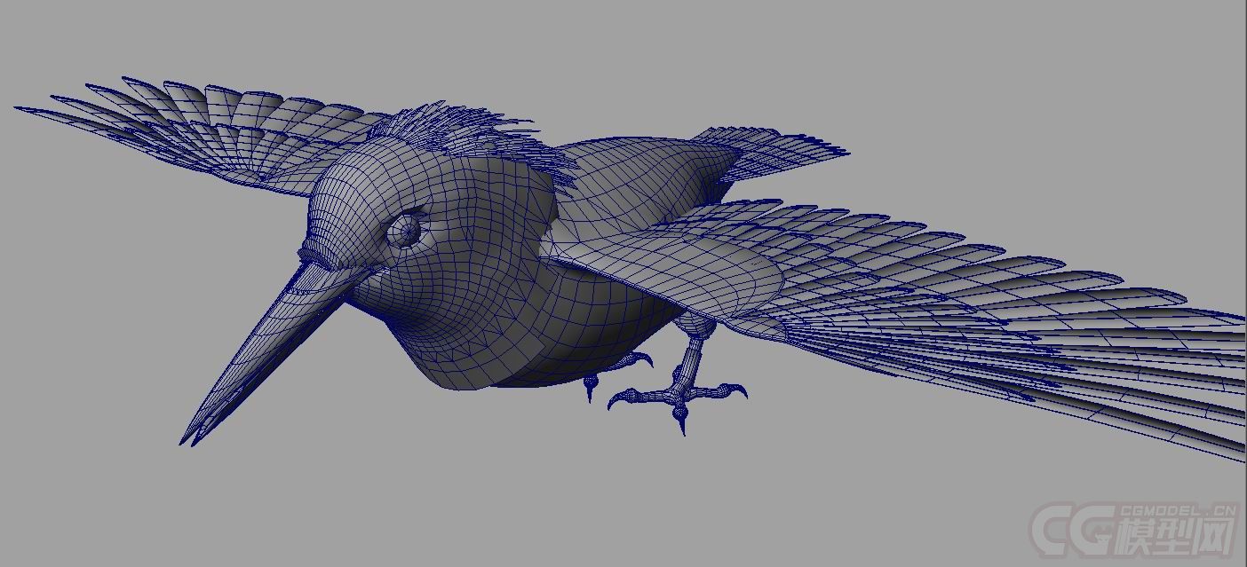 美丽的小鸟6——钓鱼鸟模型,翠鸟模型,蜂鸟,带10种常见动画