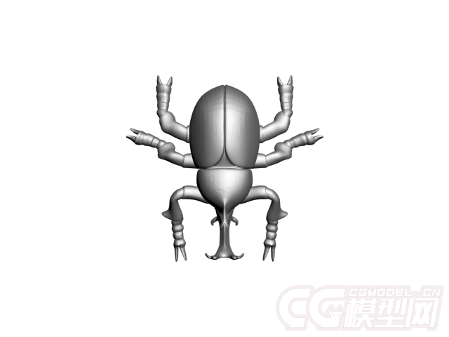 甲虫