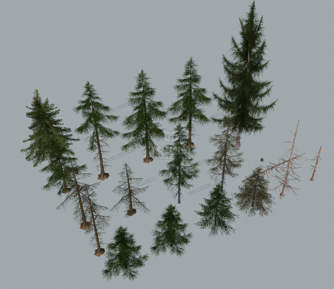 10多种写实松树林合集针叶松乔木松树木模型