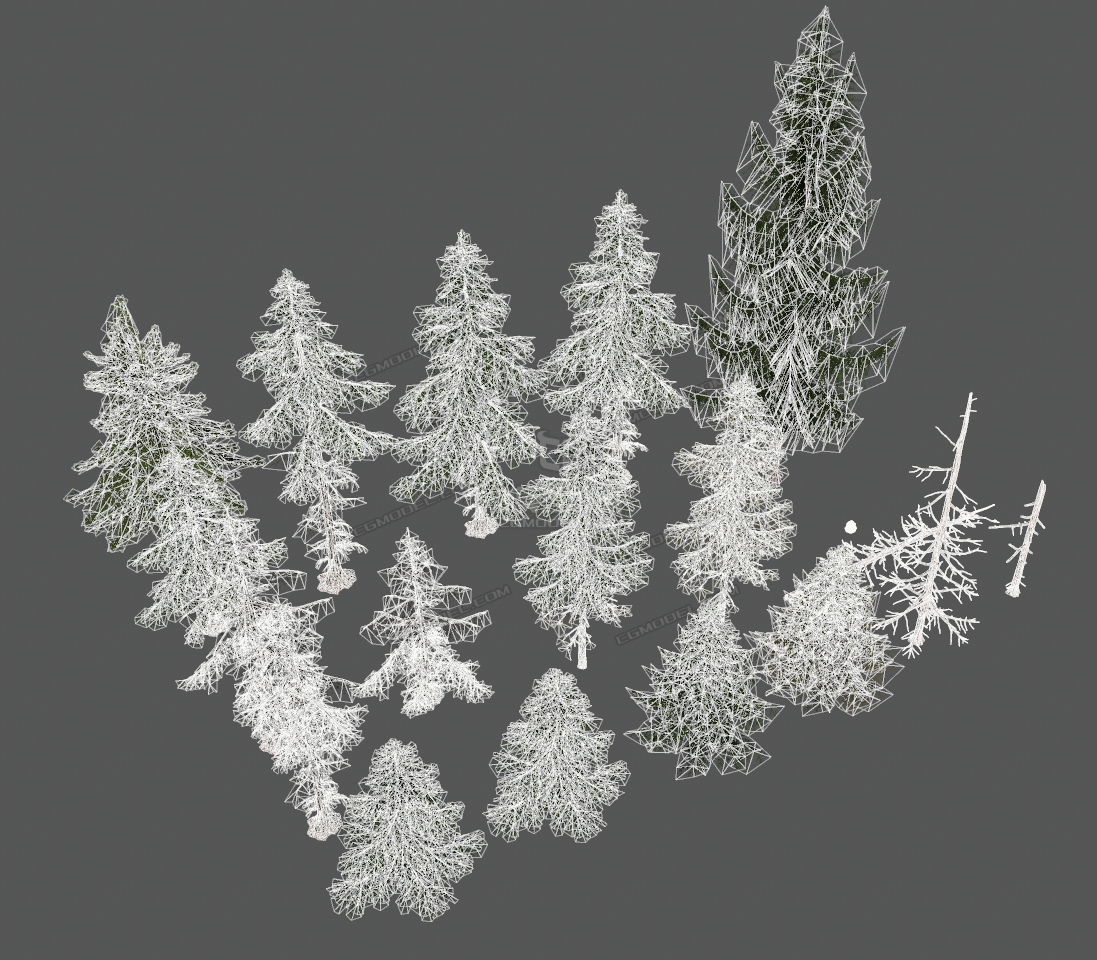 10多种写实松树林合集针叶松乔木松树木模型