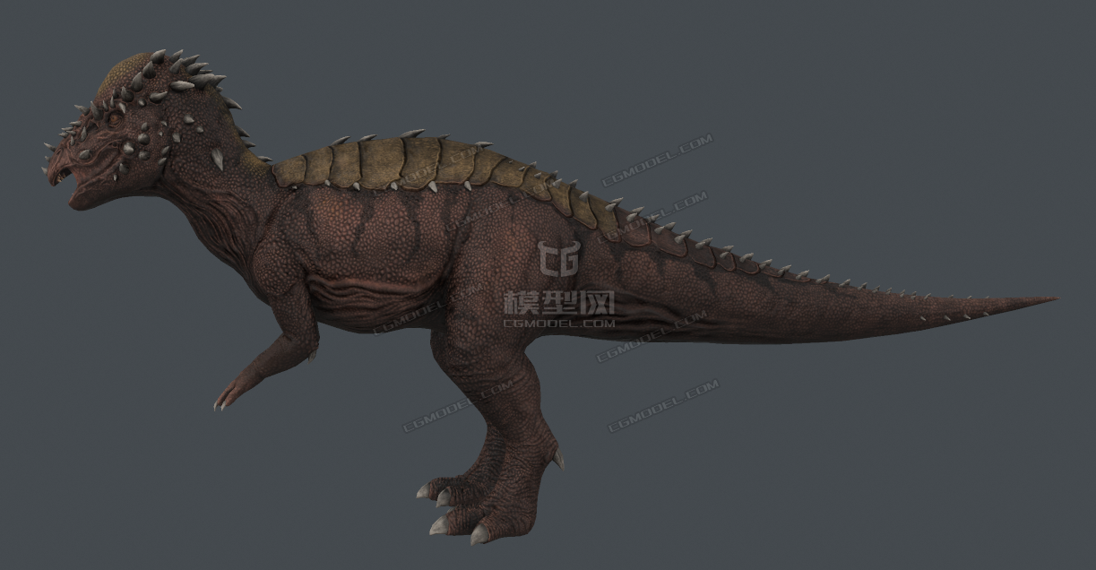 侏羅紀恐龍腫頭龍厚鼻龍pachy古生物模型有骨骼綁定-cg模型網(cgmodel