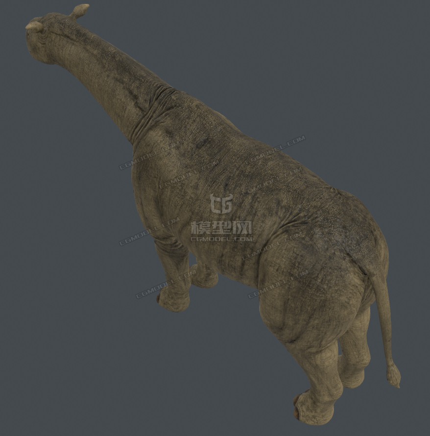 远古生物古代动物长颈犀形兽巨犀兽paraceratherium模型