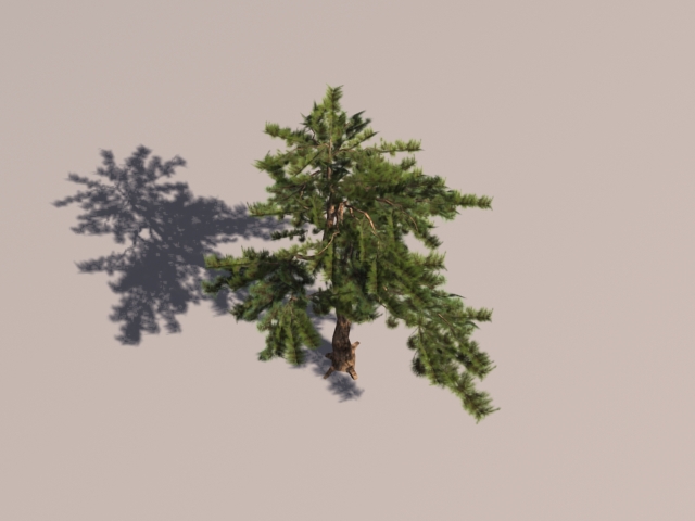 松树 模型模型-树木模型库-3ds Max(.max)模型下载-cg模型网